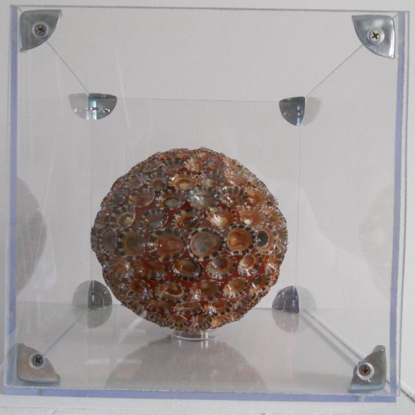 MW 28.3 (Normale Aufl&ouml;sung)